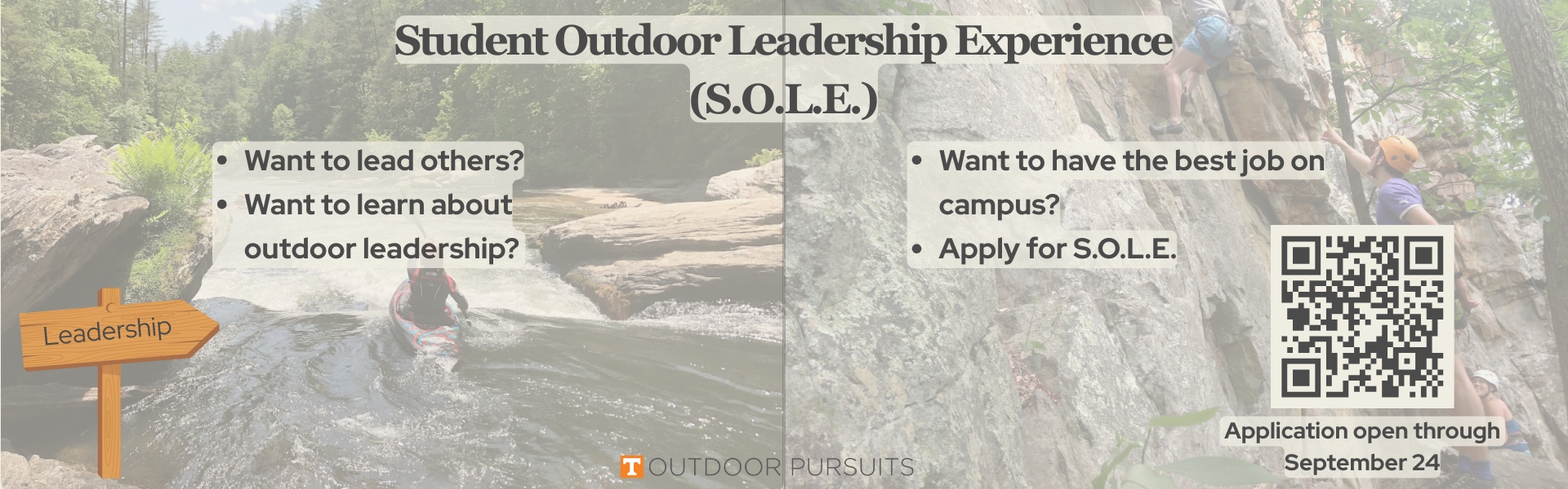 SOLE(Website Banner)